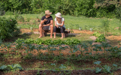 Qu’est-ce que la permaculture ? Kallisté Conseil votre agence immobilière à Ajaccio vous éclaire