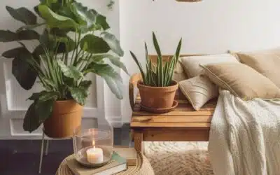 5 étapes pour créer une oasis de verdure à la maison