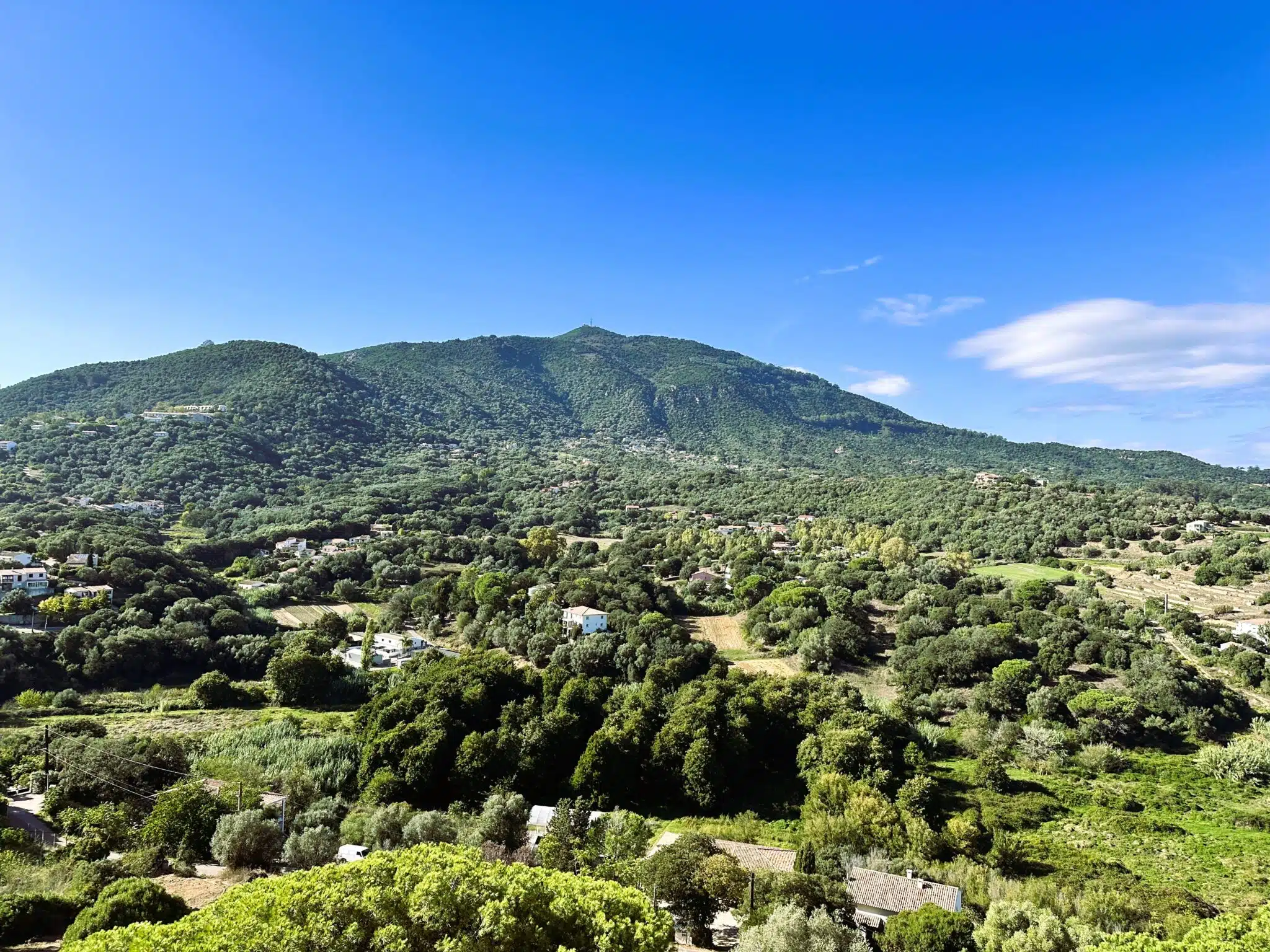 vue dégagée sur la végétation des Milleli depuis la résidence Biancarello à Ajaccio