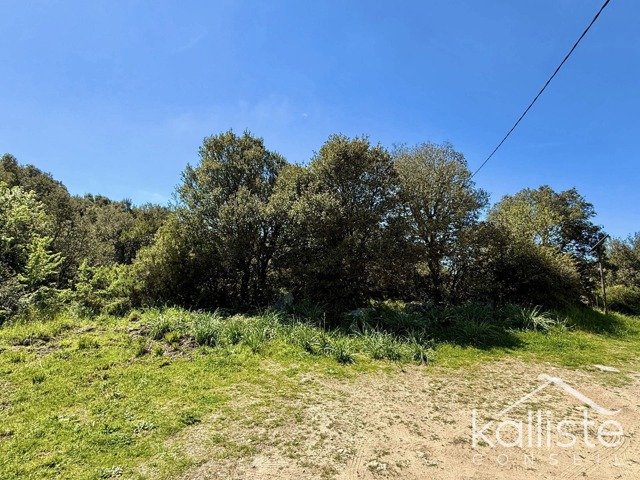 Terrain constructible de 2400 m² à Olmeto, lieu-dit Miluccia diapo 4