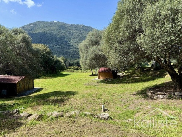 Deux maisons en parfait état au cœur du maquis avec piscine et vue mer – Propriano diapo 14