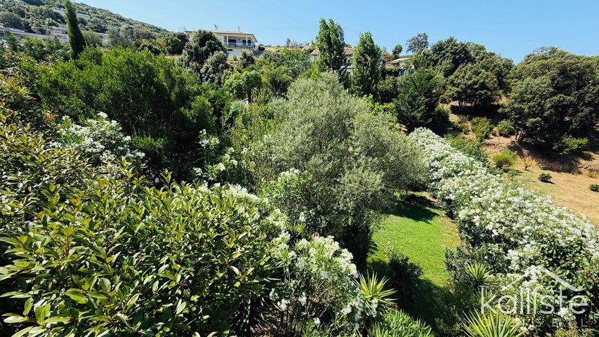 Porticcio – Villa récente avec piscine, deux logements et jardin paysager diapo 17