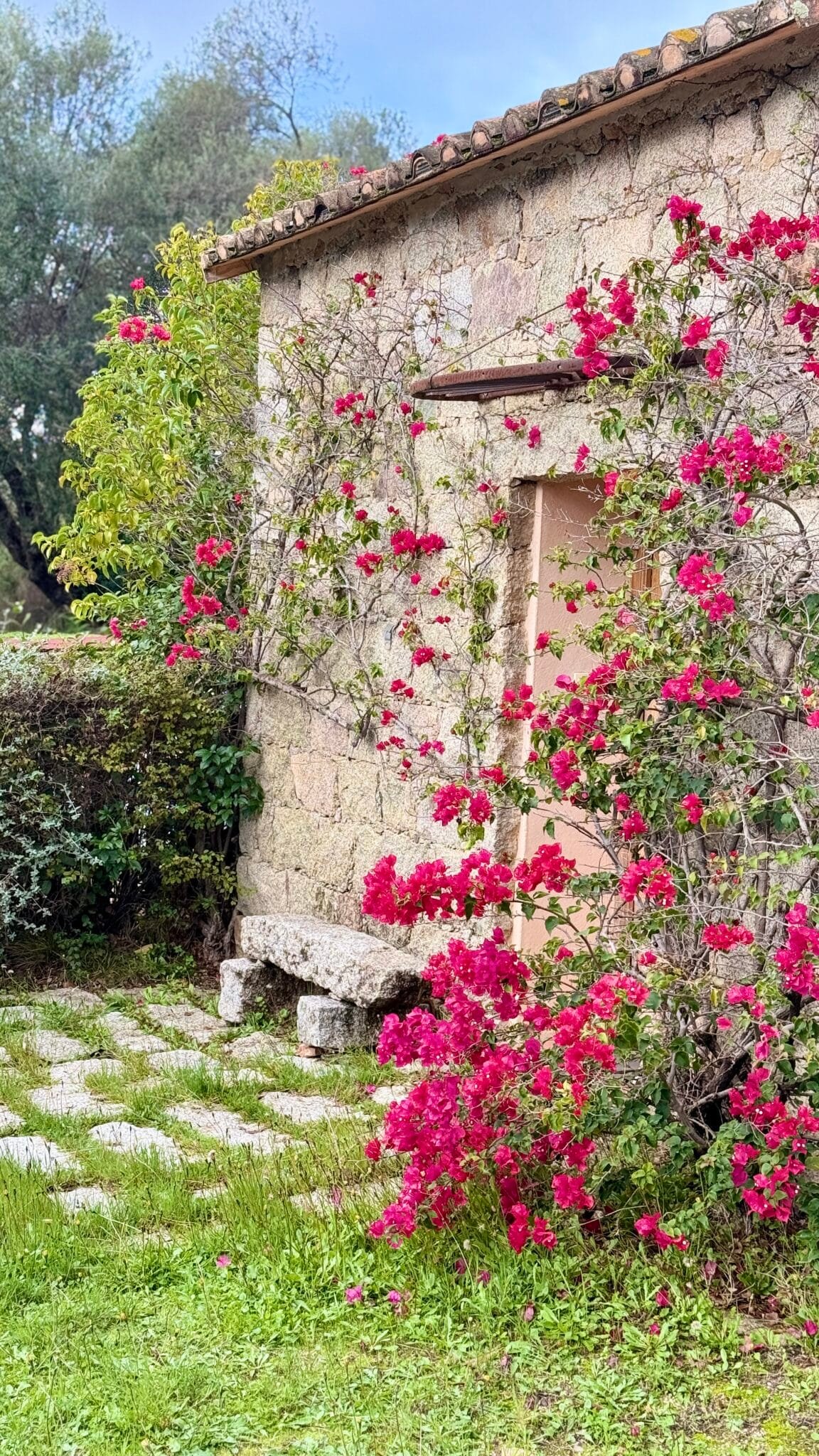 Caseddu, maison en pierres avec jardin fleuri et bougainvillier en Corse – Kallisté Conseil