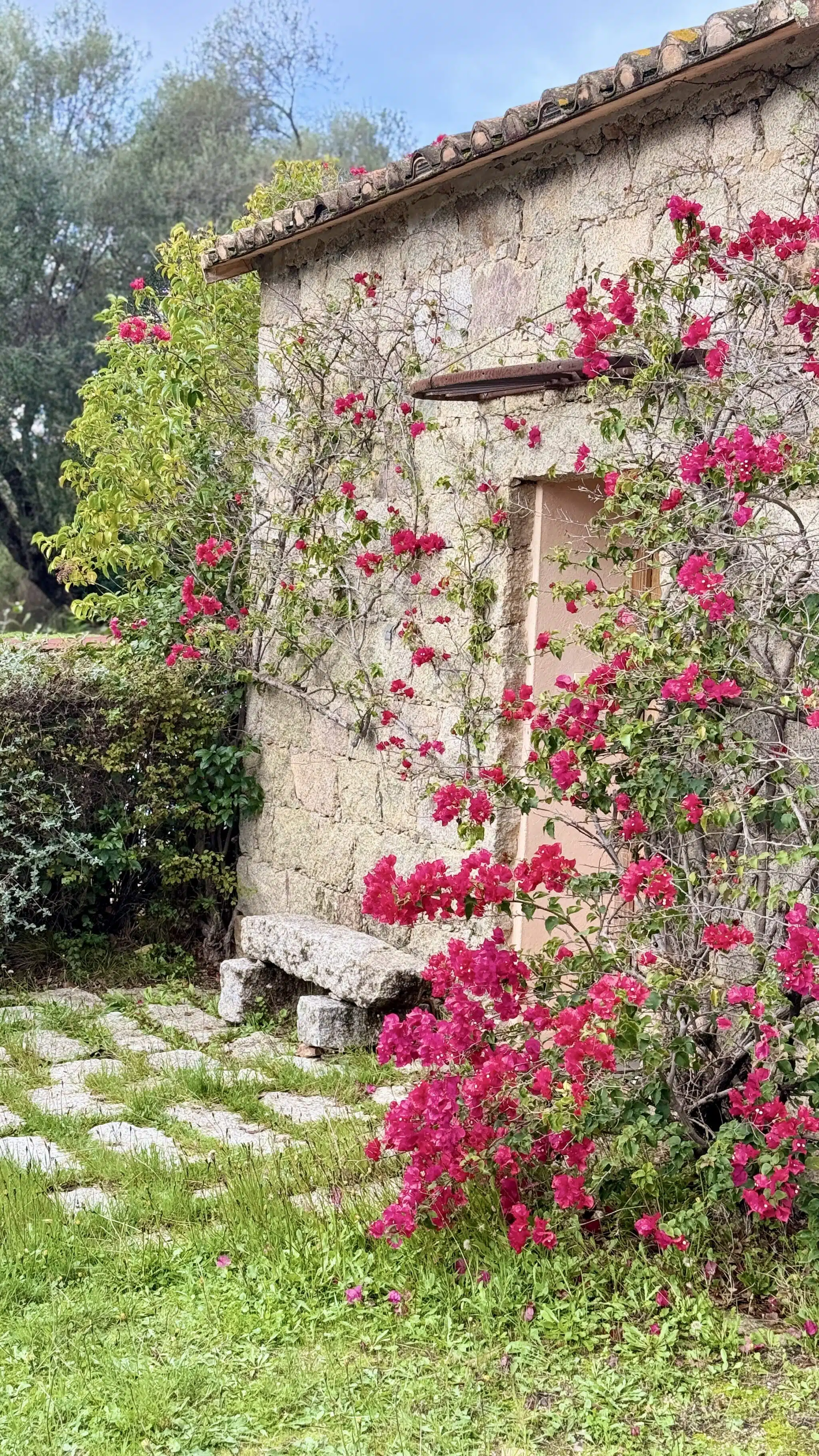 Caseddu, maison en pierres avec jardin fleuri et bougainvillier en Corse – Kallisté Conseil