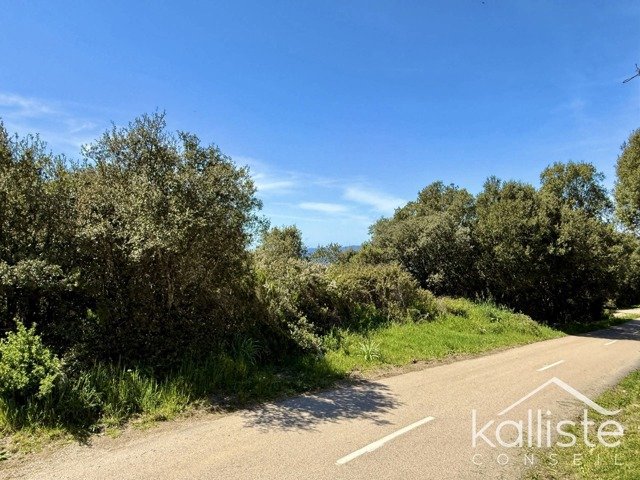 Terrain constructible de 2400 m² à Olmeto, lieu-dit Miluccia diapo 6