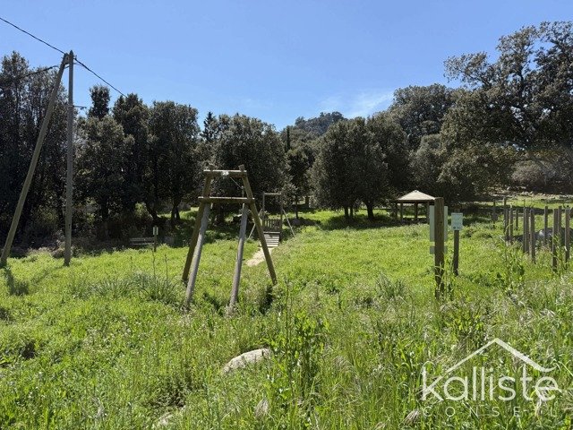 Terrain constructible de 2400 m² à Olmeto, lieu-dit Miluccia diapo 5