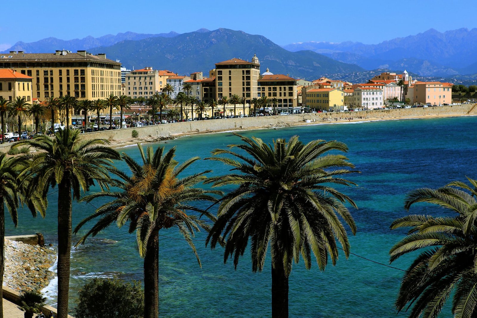 Boulevard Lantivy Ajaccio - plage avec palmiers et montagne - Kallisté Conseil immobilier Corse