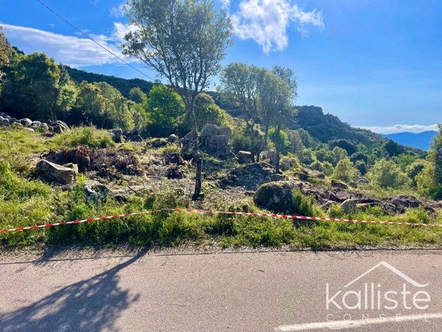 Terrain constructible de 2400 m² à Olmeto, lieu-dit Miluccia photo 2