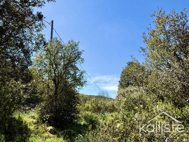 Terrain constructible de 2400 m² à Olmeto, lieu-dit Miluccia photo 3