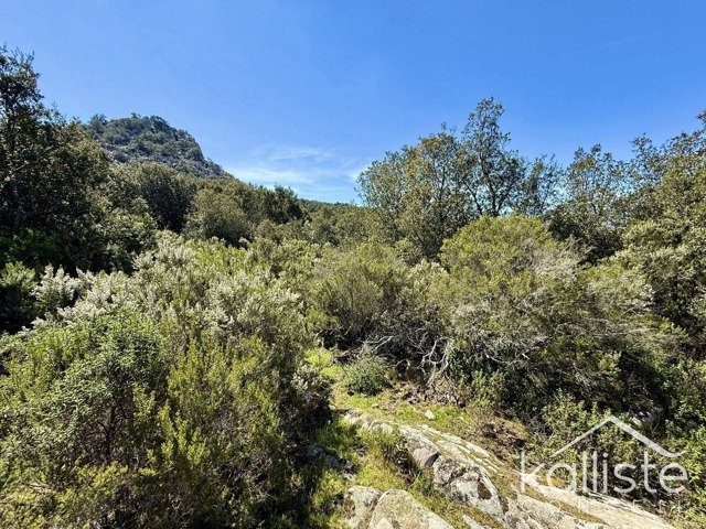 Terrain constructible de 2400 m² à Olmeto, lieu-dit Miluccia diapo 3