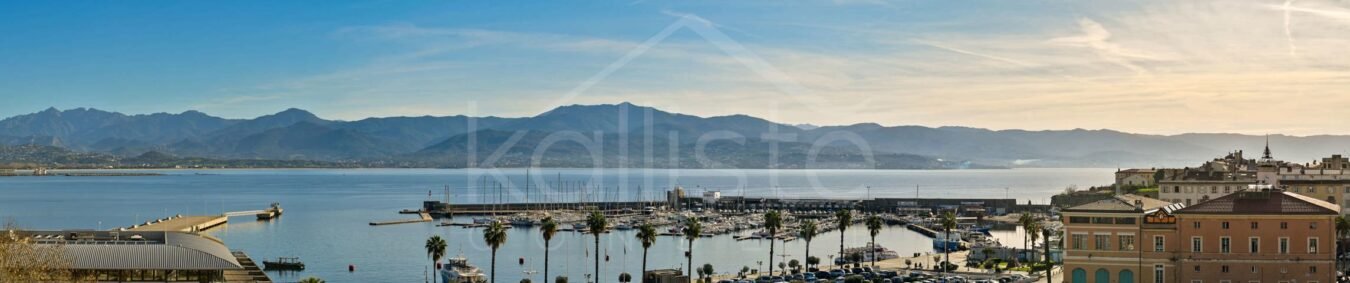 PENTHOUSE 7 PIECES D&rsquo;EXCEPTION AU CŒUR D&rsquo;AJACCIO diapo 7