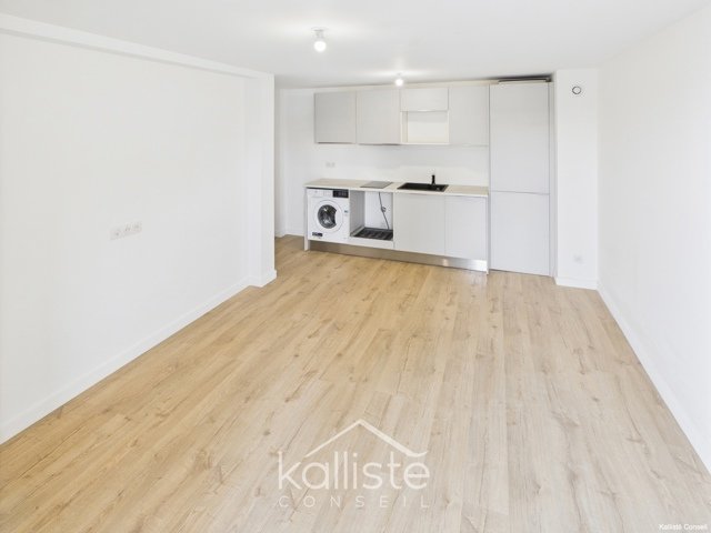 Local commercial à fort potentiel et son appartement F2 attenant – secteur dynamique. diapo 7