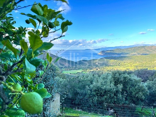 Maison avec vue mer – Villanova - photo 10