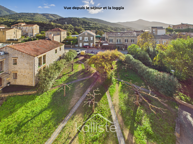 Grand T5 lumineux sur CAURO. - photo 9