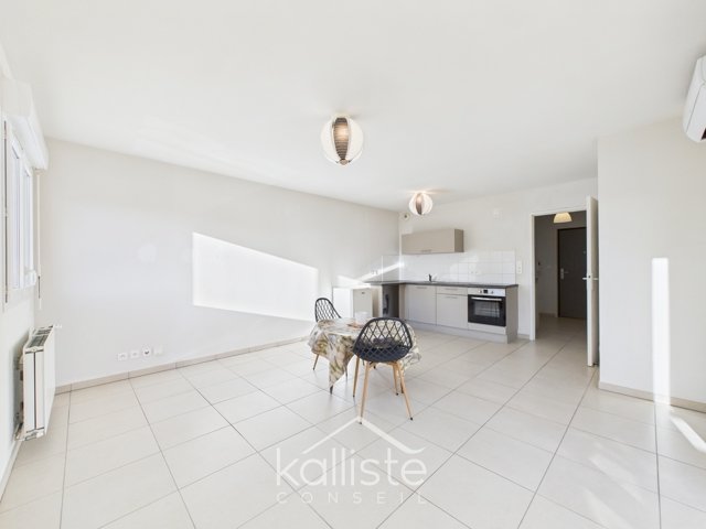 Appartement T2 avec cave  – Baleone – 45.85m² photo 3