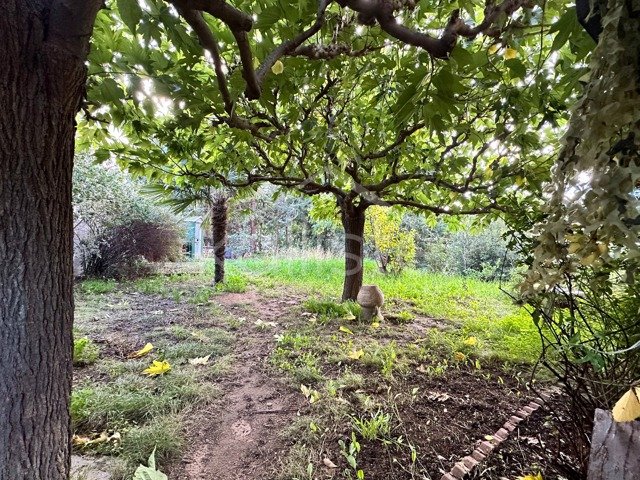 Appartement T2/T3 avec jardin - photo 10