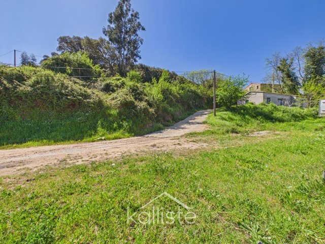 Maison de 2020, petit prix, maximum de plaisir - photo 4