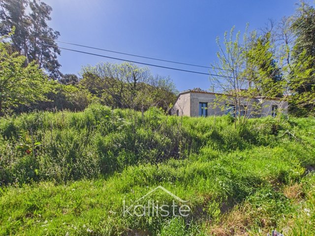 Maison de 2020, petit prix, maximum de plaisir - photo 10