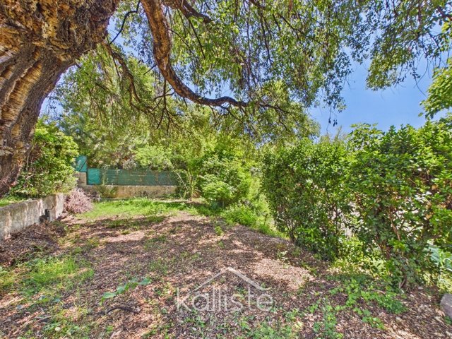 Rare à Ajaccio : maison de plain-pied avec 700 m² de terrain en ville - photo 9