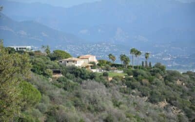 Comment bien choisir une maison à louer à Ajaccio ?