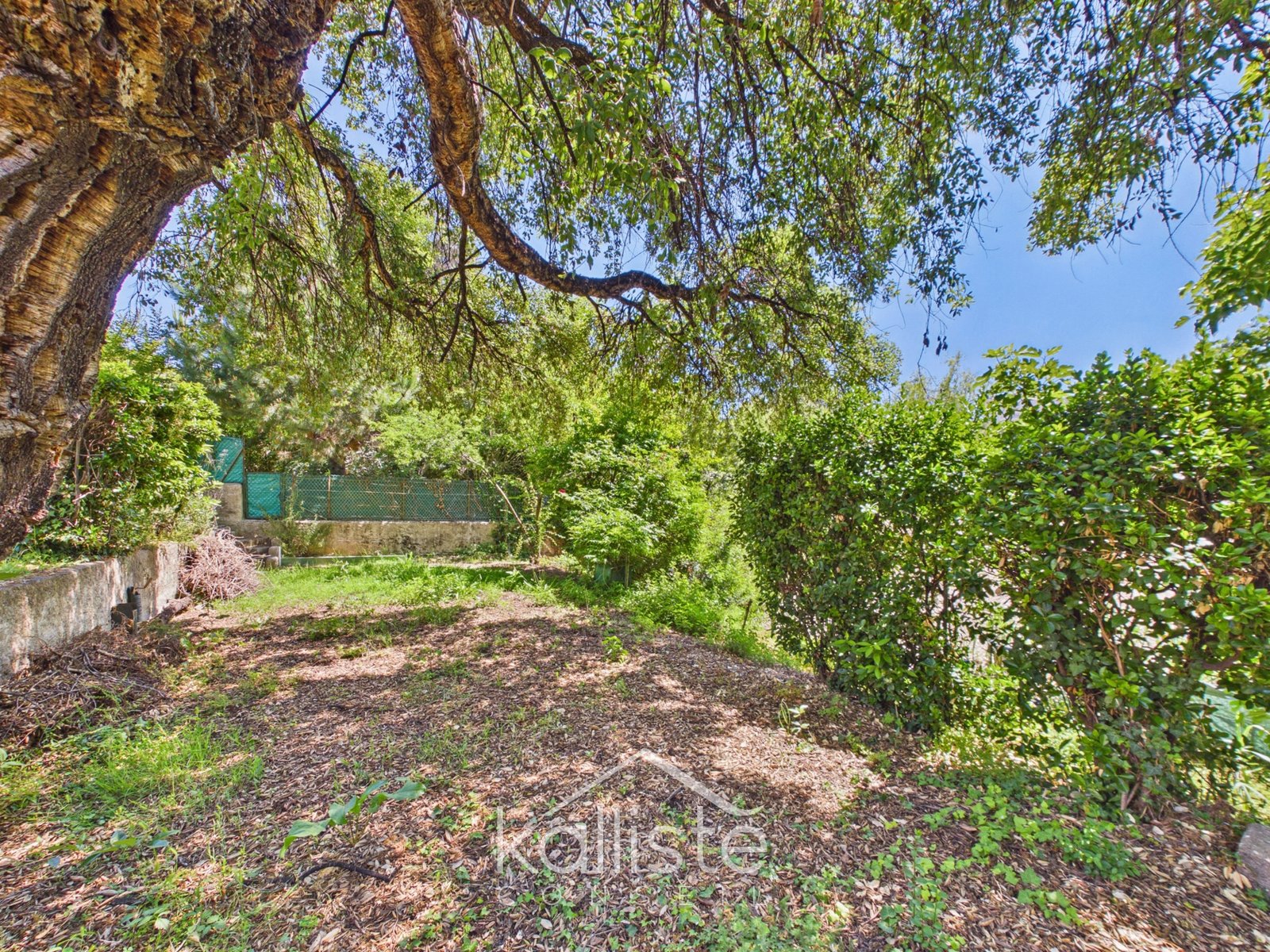 Rare à Ajaccio : maison de plain-pied avec 700 m² de terrain en ville - photo 9