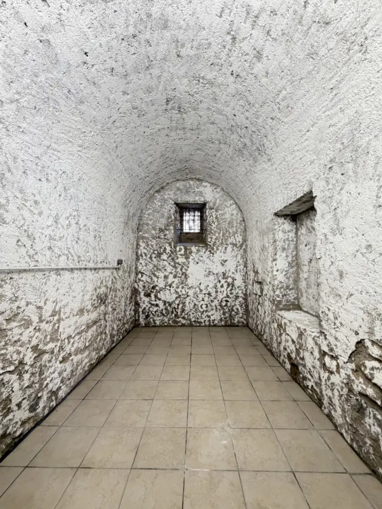 CAVE – Boulevard François SALINI photo 2