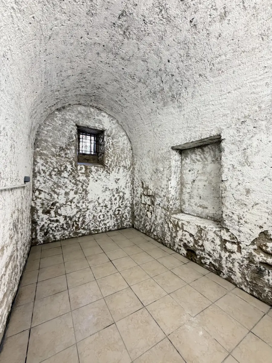 CAVE – Boulevard François SALINI - photo 1