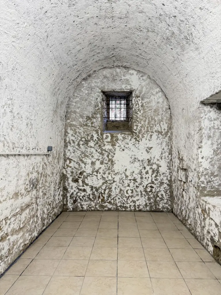 CAVE – Boulevard François SALINI photo 3